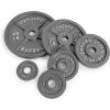imageCAP Barbell 2Inch Olympic Weight Plate  Multiple OptionsClassic  Grey