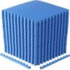 imageCAP Barbell Exercise Puzzle Mats Packs Tiles 24quotx24quot  Multiple OptionsDiamond  Blue