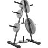 imageCAP Barbell Weight Plate Rack for 1Inch Weight PlatesBlack  Standard Astyle 1 Plate Tree