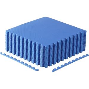 imageCAP Barbell Exercise Puzzle Mats Packs Tiles 24quotx24quot  Multiple OptionsTblue