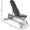 imageCAP Barbell Deluxe Utility Weight Bench Color SeriesSilver  Round Backpad