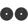 imageCAP Barbell Standard 1Inch Cast Iron Weight Plates  Singles ampamp Sets  12550 lbs  Multiple OptionsBlack