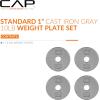 imageCAP Barbell Standard 1Inch Cast Iron Weight Plates  Singles ampamp Sets  12550 lbs  Multiple OptionsGray