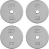 imageCAP Barbell Standard 1Inch Cast Iron Weight Plates  Singles ampamp Sets  12550 lbs  Multiple OptionsGray
