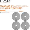 imageCAP Barbell Standard 1Inch Cast Iron Weight Plates  Singles ampamp Sets  12550 lbs  Multiple OptionsGray