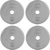 imageCAP Barbell Standard 1Inch Cast Iron Weight Plates  Singles ampamp Sets  12550 lbs  Multiple OptionsGray
