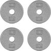 imageCAP Barbell Standard 1Inch Cast Iron Weight Plates  Singles ampamp Sets  12550 lbs  Multiple OptionsGray