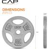 imageCAP Barbell Standard 1Inch Grip Weight PlatesGray