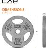 imageCAP Barbell Standard 1Inch Grip Weight PlatesGray