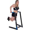 imageFuel Pureformance Dip Station  Bodyweight Training  Multiple OptionsBlackBlue