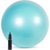 imageCAP Fitness Stability Ball Exercise Ball 65cm Teal