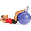 imageCap Barbell Fitness Stability Exercise Ball 65cm  Multiple ColorsPurple